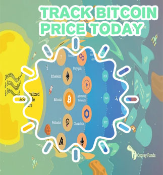 Btc current rate