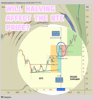 Btc halving cycle